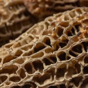 koyde her 25 kisiden 2si als hastasi nedeni ortaya cikti 20 yildir ayni mantari yiyorlarmis 9bDqDwqw