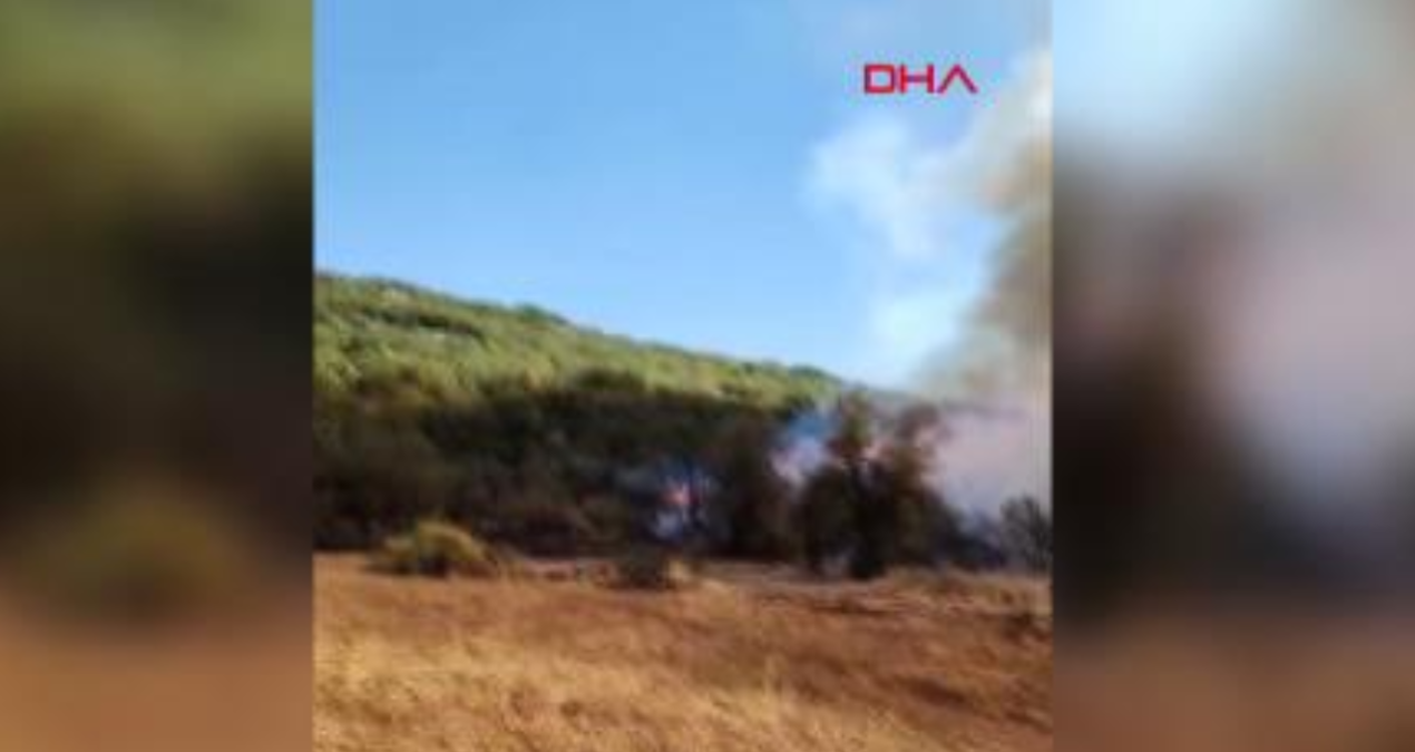 burdurda orman yangini zx9c3RJD