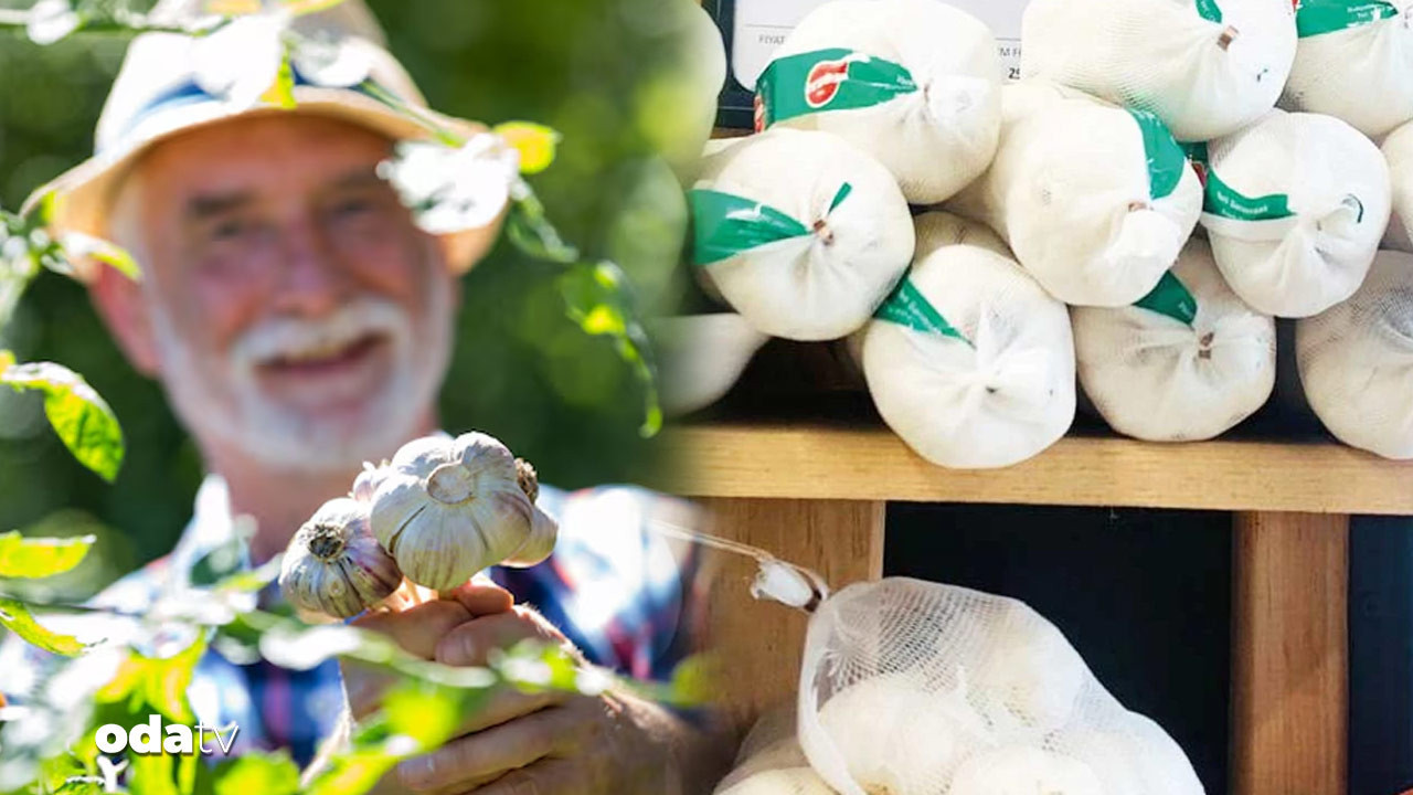 sarimsaga 4 yilda yuzde 1300 zam ax33ebft