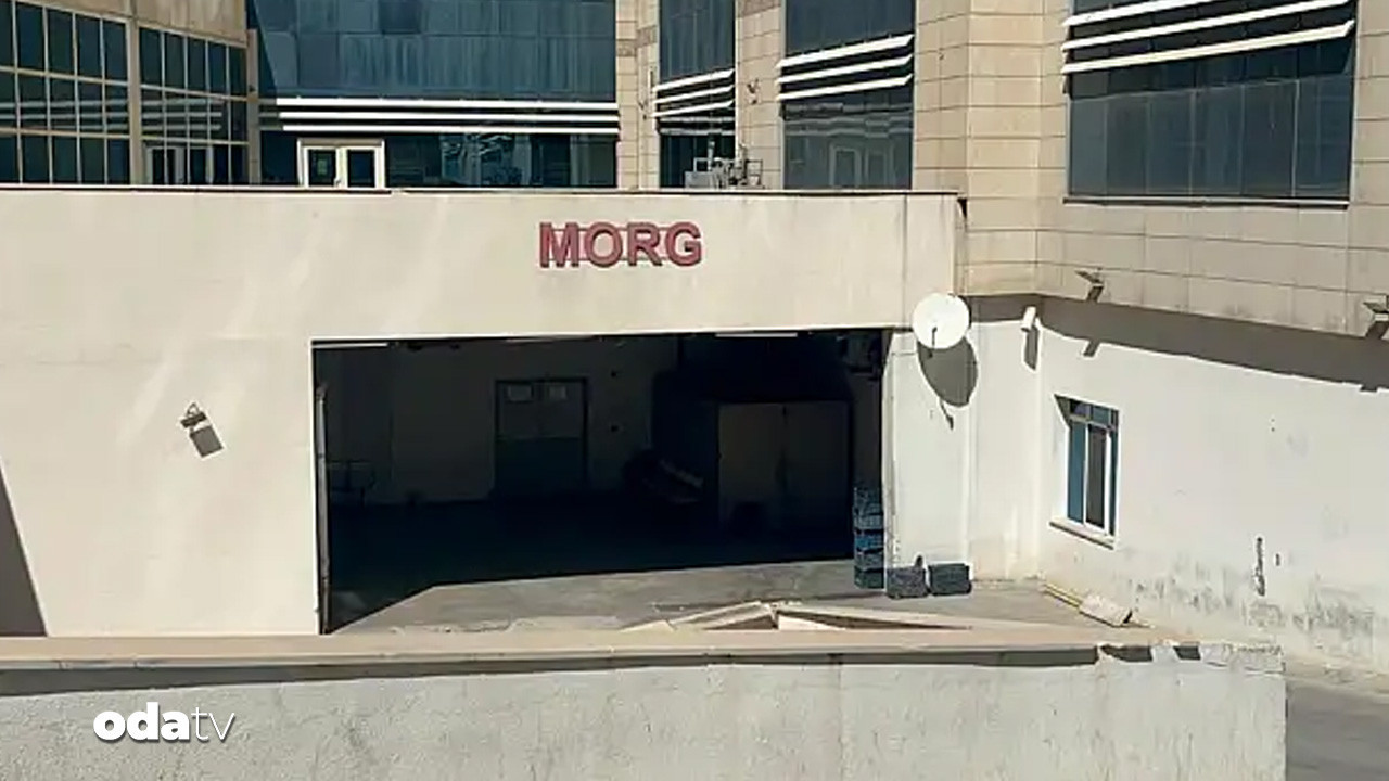 siirtte aci olay meyve toplamak isterken canindan oldu 87BmDlRd