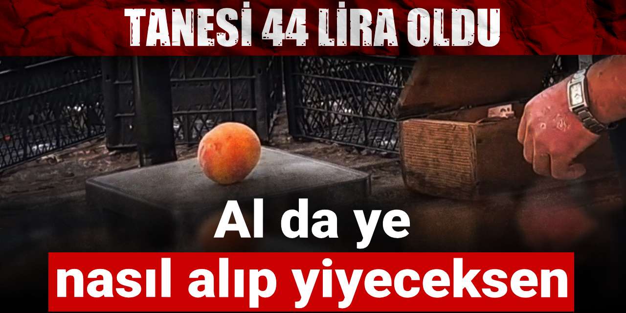 tanesi 44 lira al da ye nasil alip yiyeceksen 36Y9c2Qd