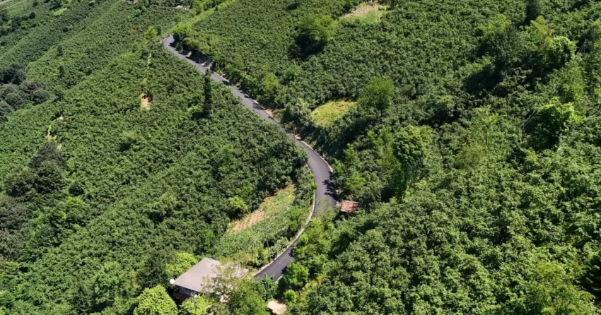 Orduda 35 kilometrelik asfalt tamamlandi fNZHYYLu